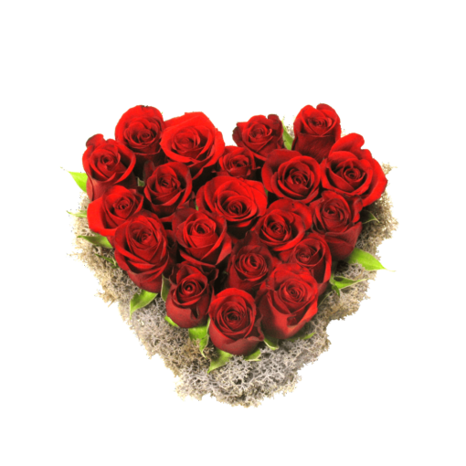 Rosas Vermelhas em Coração