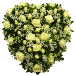 Coração de Rosas Brancas