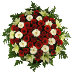 Coroa M