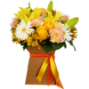 Floral Mix V em Jarra Kraft