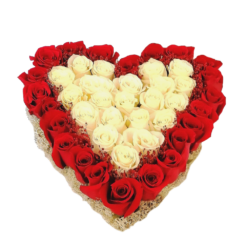 40 Rosas em Coração