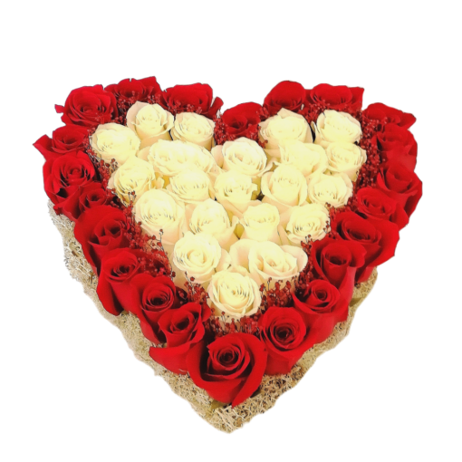 40 Rosas em Coração