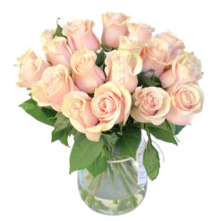 Rosas Cor de Rosa em Jarra de Vidro