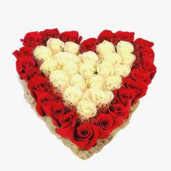 Romance e Amor